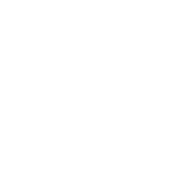 WP Star